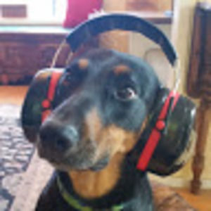 Meet your Posher, Lily